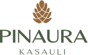 Pinaura